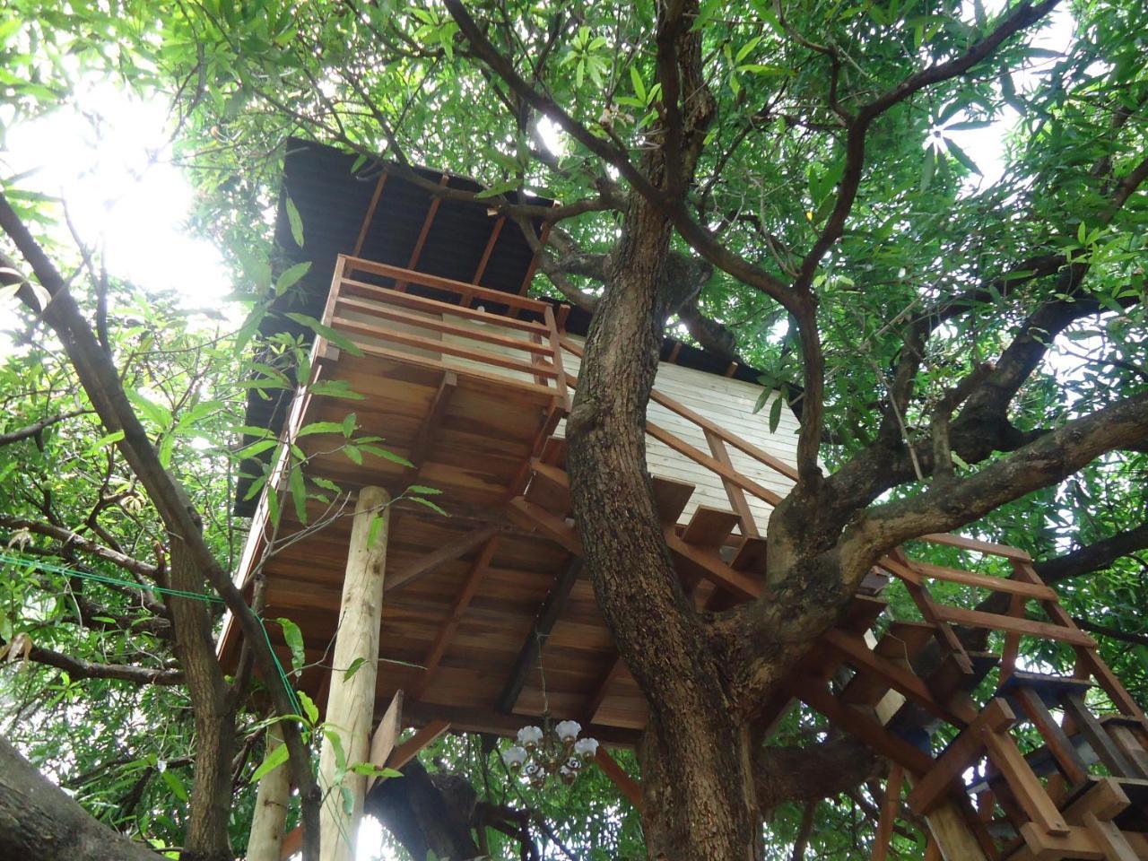 Acomodação com café da manhã  Casa Na Arvore *