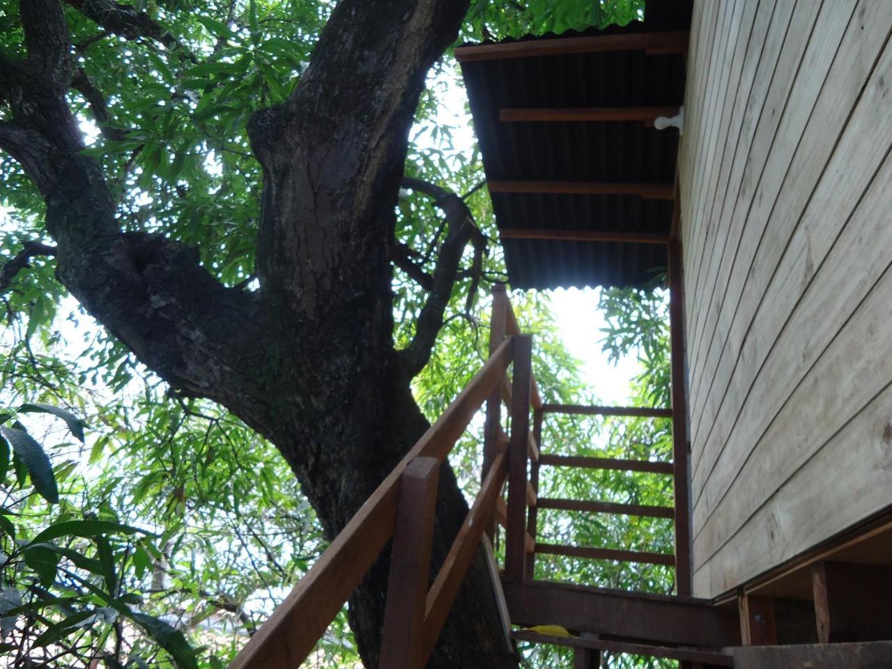 Casa Na Arvore