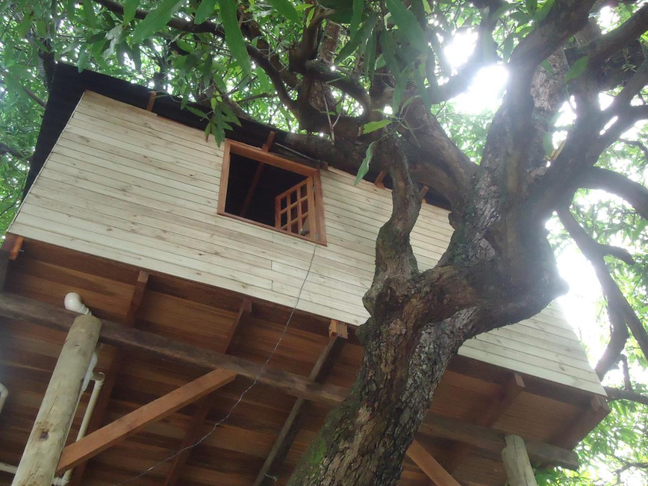 Casa Na Arvore Acomodação com café da manhã  Salvador