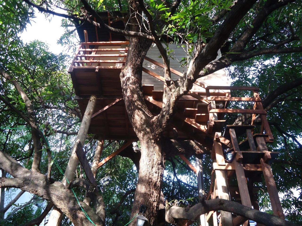 Casa Na Arvore Salvador