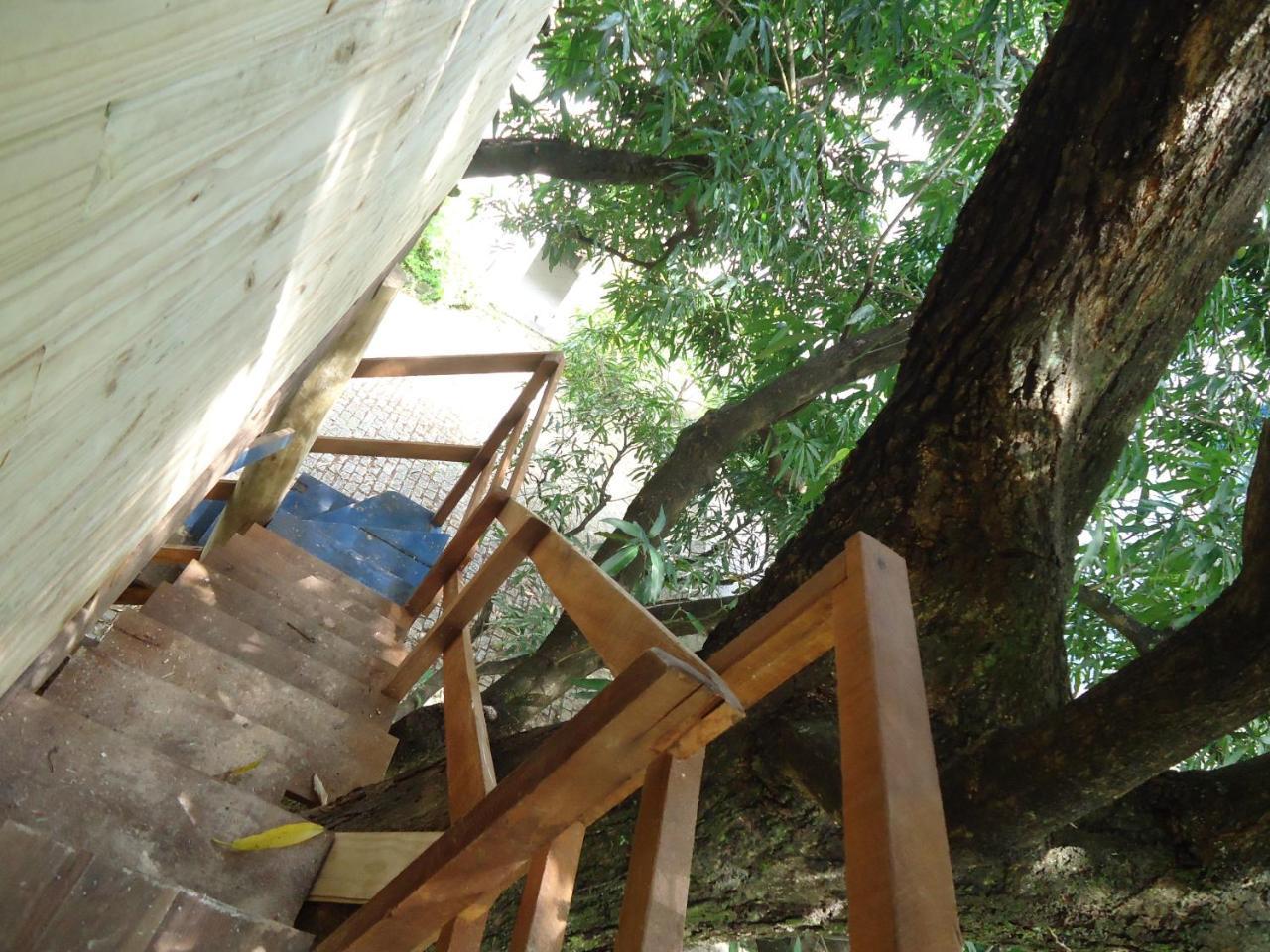 Casa Na Arvore Acomodação com café da manhã  *