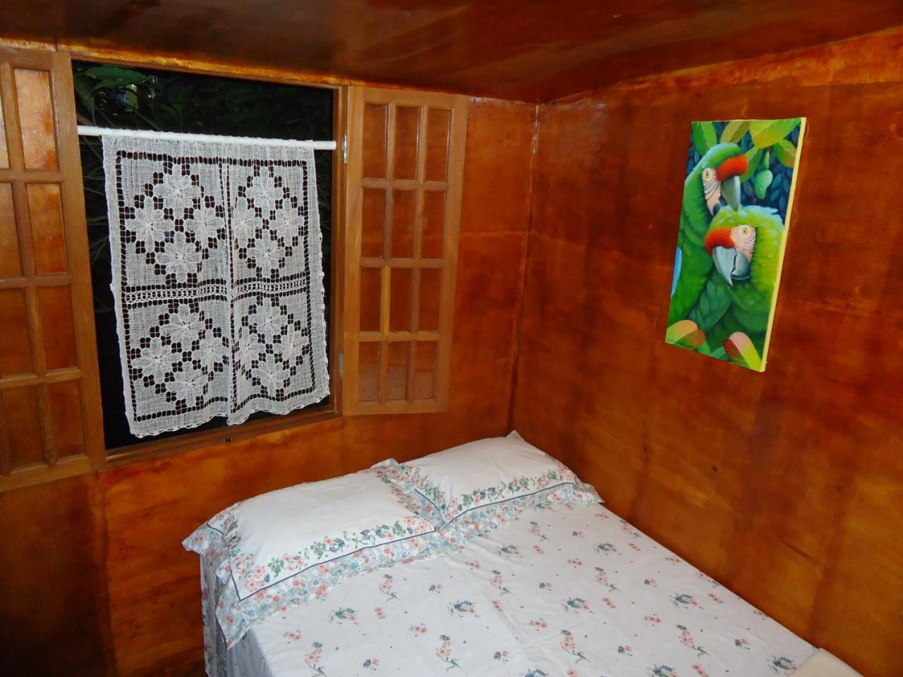 Casa Na Arvore * Salvador