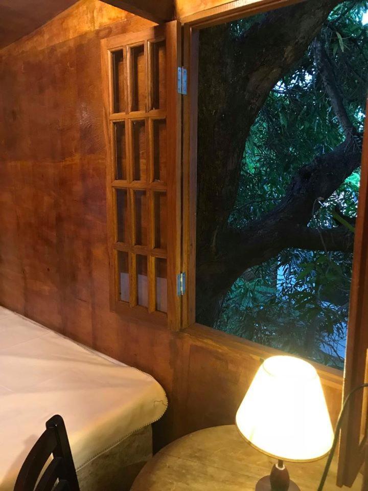 Casa Na Arvore Salvador